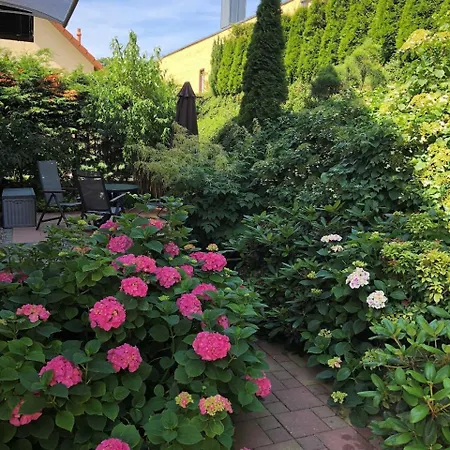 01 Altenberg Apartman